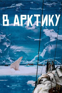 В Арктику В Арктику